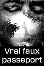 Poster for Vrai faux passeport