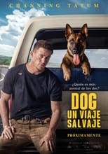 Ver Dog. Un viaje salvaje (2022) Online