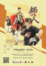 Project Sifu 2