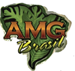 AMG Brasil
