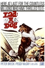 Poster for Lad: A Dog