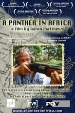 Poster for A Panther in Africa