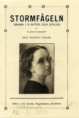 Poster for Stormfågeln