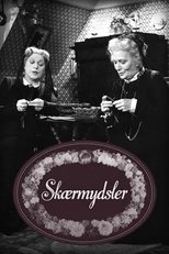 Poster for Skærmydsler 