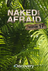 Temporada 17