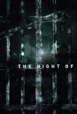 VER The Night Of (2016) Online Gratis HD