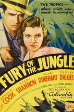 Poster for Fury of the Jungle