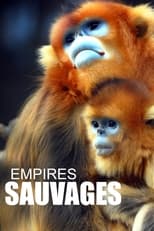 FR - Empires sauvages