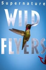 Poster for SuperNature - Wild Flyers