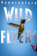 SuperNature - Wild Flyers poster
