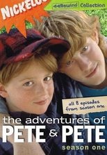 Poster for The Adventures of Pete & Pete Season 1