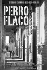 Poster for Perro flaco