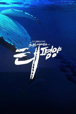 최후의 바다, 태평양 poster
