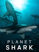 TVplus EN - Planet Shark (2022)