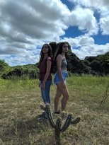 Oiticica do Bode poster