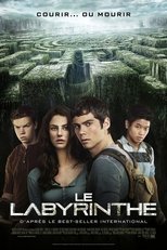 Le Labyrinthe 1
