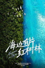 海边有片红树林 poster