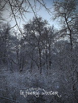 La Féerie Winter poster