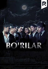 Bo'rilar