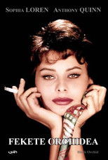 Fekete orchidea