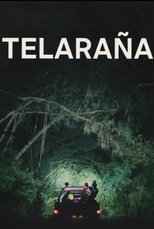 VER Telaraña (2023) Online Gratis HD
