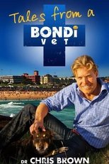 Bondi Vet (2009)