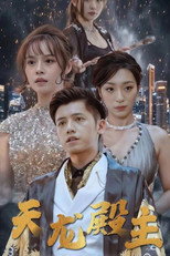 天龙殿主 poster