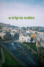a trip to wales poster