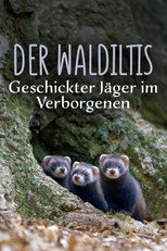 Polecat – Europe’s Relentless Hunter poster