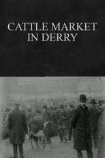 Poster for Cattle Market in Derry 
