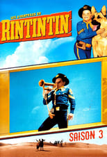 Poster for The Adventures of Rin Tin Tin Season 3