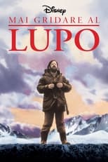 Poster di Mai gridare al lupo