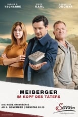 Meiberger: Chasing Minds (2018)