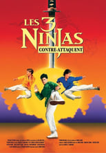 Ninja Kids 2 : Les 3 Ninjas contre-attaquent en streaming – Dustreaming