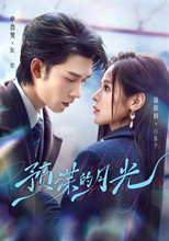 预谋的月光 poster