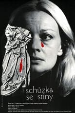 Poster for Schůzka se stíny