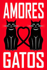 Poster for Amores Gatos 