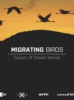 Poster for Zugvögel - Kundschafter in fernen Welten 