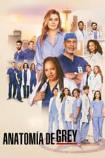 Poster Anatomía de Grey