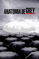 Grey’s Anatomy: 6ª Temporada