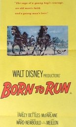 Poster for Born to Run 