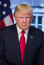 Det store Trumpshow poster