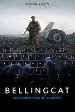 Bellingcat : les combattants de la vérité poster