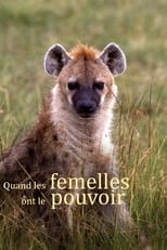 Poster for Quand les femelles ont le pouvoir 