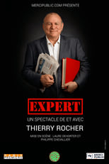 Poster di Expert