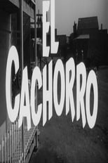 Poster for El cachorro