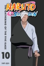 Poster for Naruto Shippūden Season 10