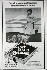 Poster for The Lost Kung Fu Secrets 