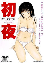 Virgin Night poster