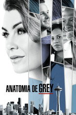 Grey’s Anatomy: 14ª Temporada